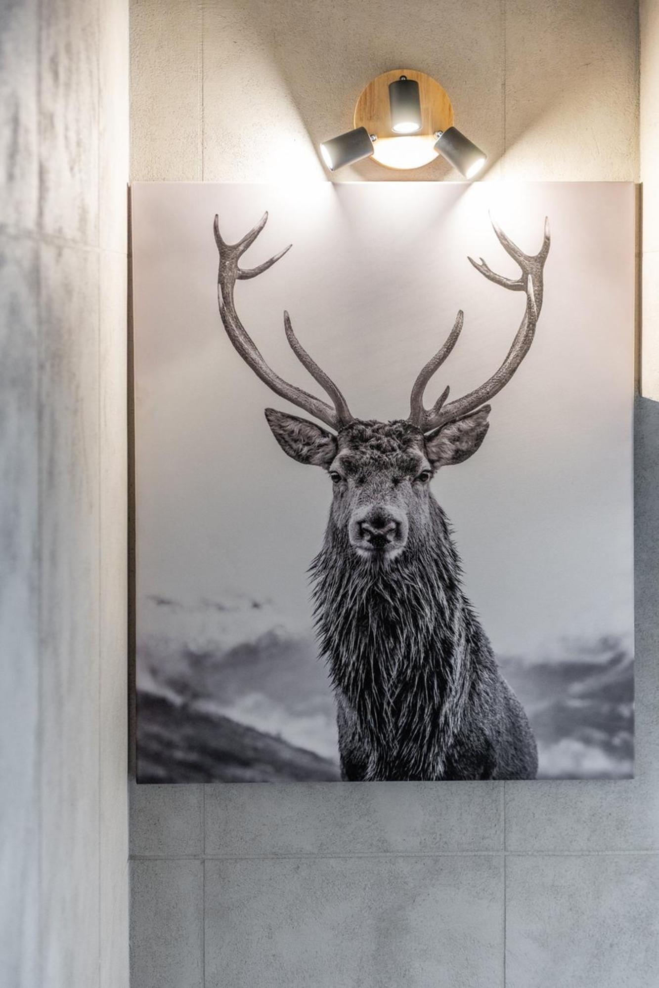 Chata Herkulesa Zakopane Esterno foto