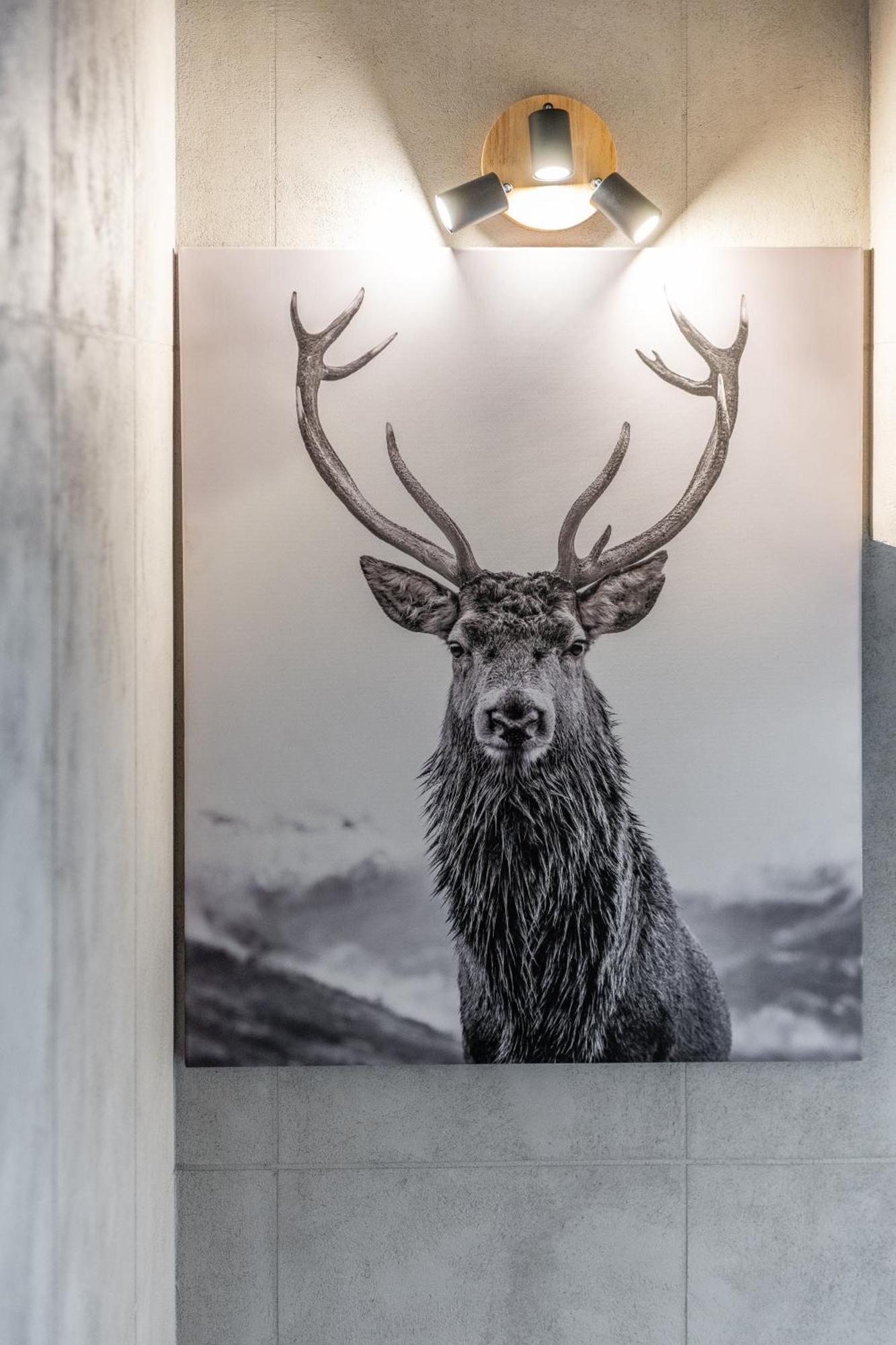 Chata Herkulesa Zakopane Esterno foto